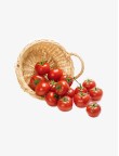 Red Tomato High Quality