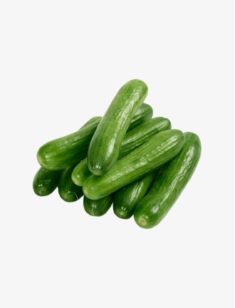 Paudha Organic Cucumber
