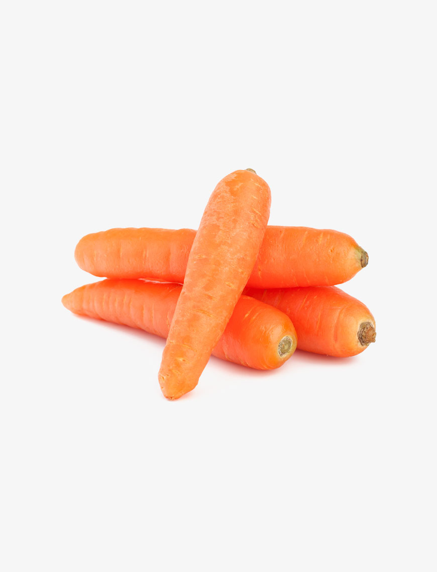 Febshell CARROT Seed