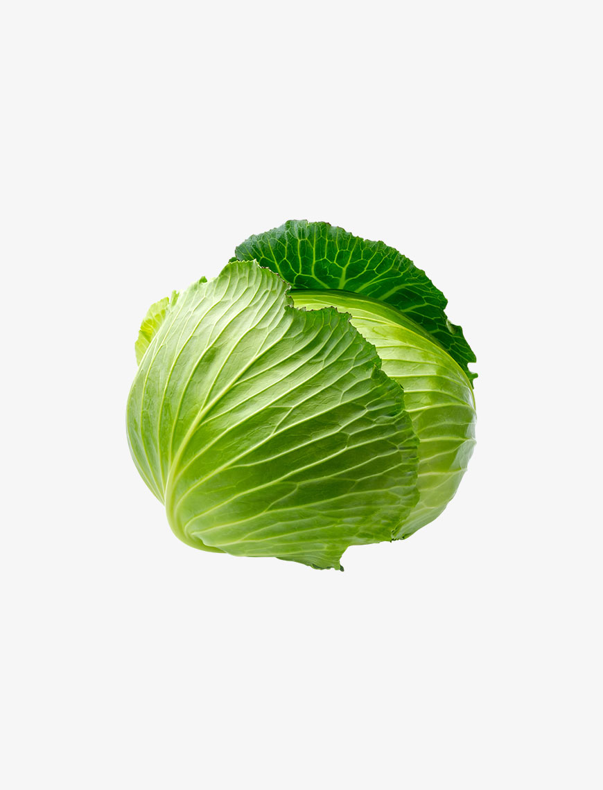 Green Cabbage Pack