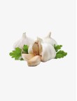 Allium Sativum Extract