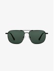 Polarized Tortoise Sunglasses 