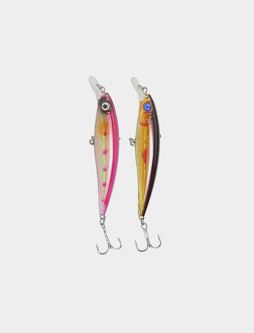 Hard Bait Plastic Saltwater