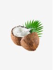Grade Fresh Coconut