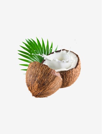 Grade Fresh Coconut