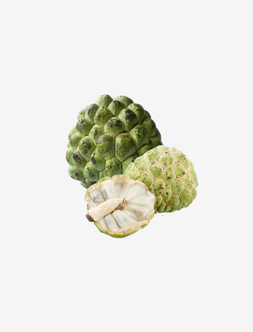 Squamosa Sweet Custard Apple