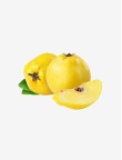 Healthy papyya fruit