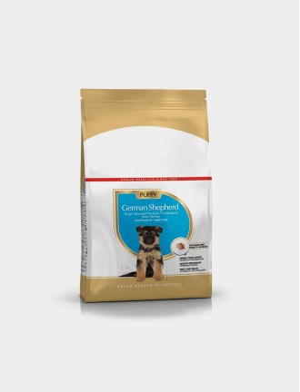 Labrador Adult Dry Dog Food