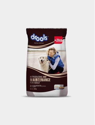 Maintenance Adult Dry Dog Food