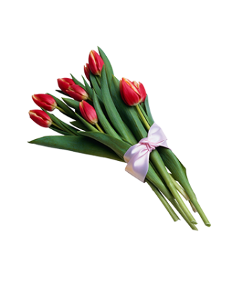 Bouquet Tulip 