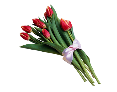 Bouquet Tulip 