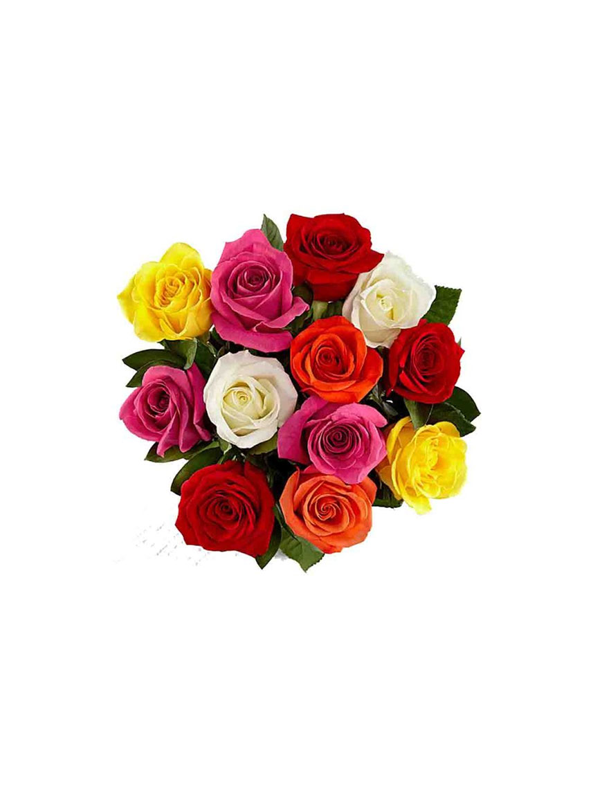 Mixed color roses