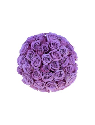 Purple roses flowers