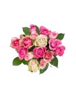 Pink Roses Flowers