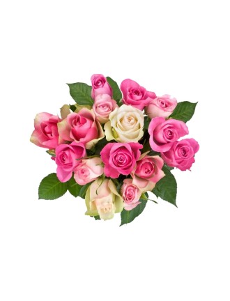 Pink Roses Flowers