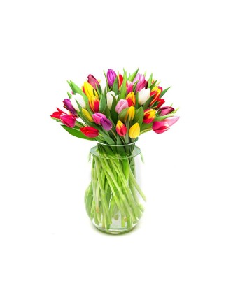 Flourish tulips mixed