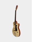 Sire Larry Carlton Guitar