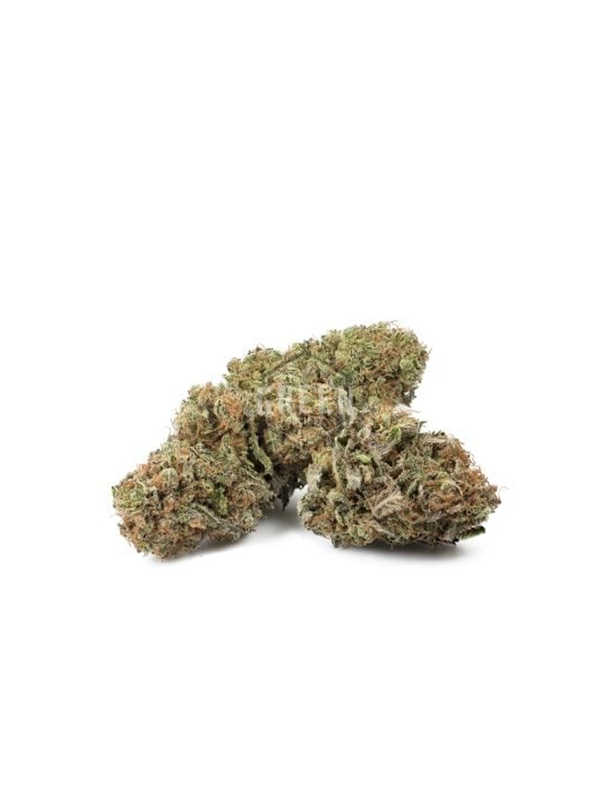 Indica Dominant Hybrid