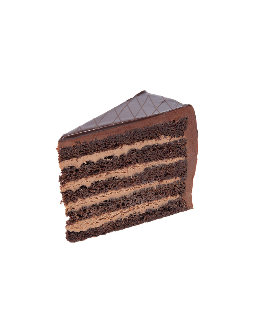 Chocolate Cake Slice