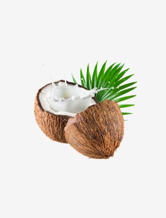 Grade Fresh Coconut