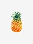 Fresh Golden Pineapple