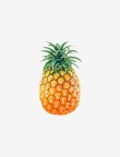 Fresh Golden Pineapple