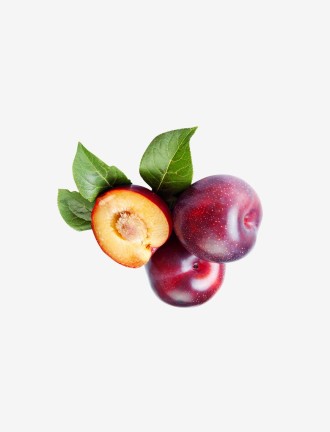 Fresho foreign plum
