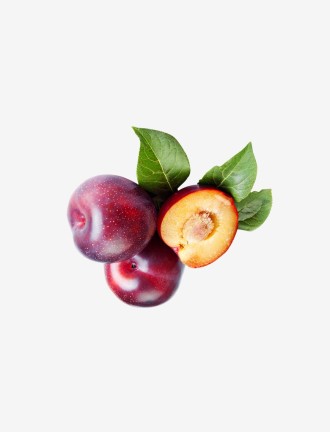 Fresho foreign plum