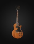 Gibson Les Paul Guitar