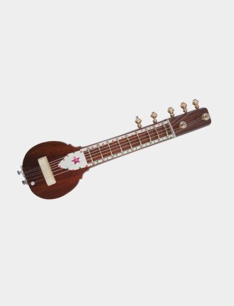 Miniature Magnetic Sitar