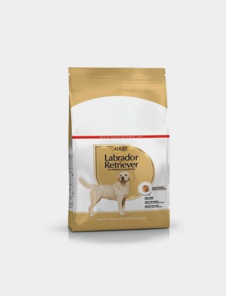 Labrador Adult Dry Dog Food