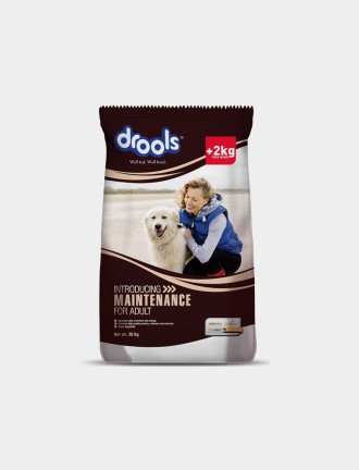Maintenance Adult Dry Dog Food