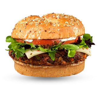 Chimichurri Burger