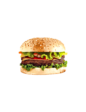 Fast Food Burger