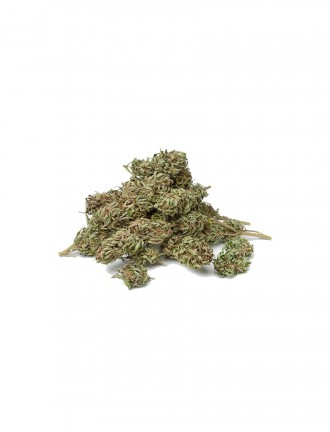 Dried Marijuana Buds