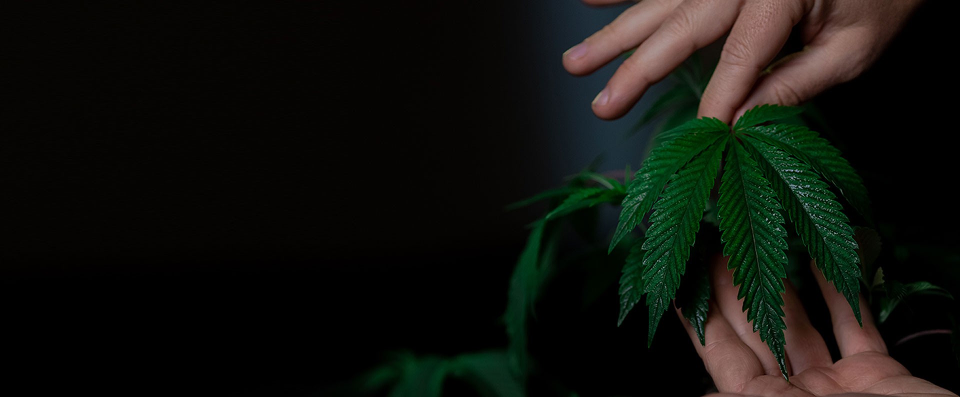 100% Natural Products