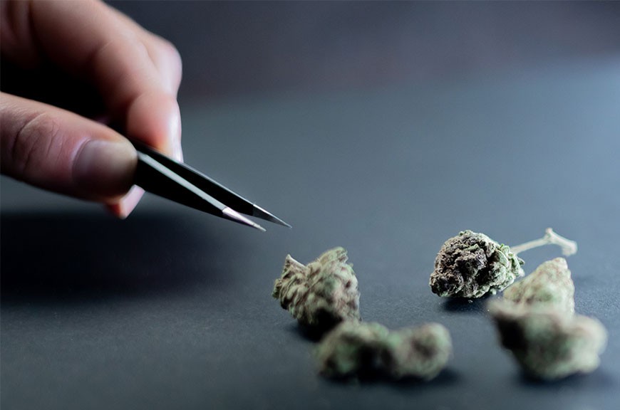 Eodem modo typi qui nunc