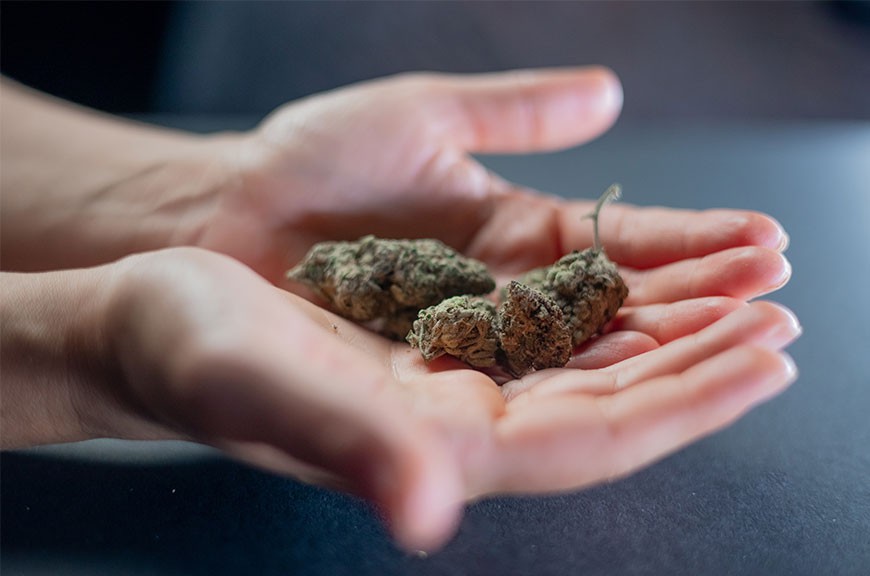 Nam liber tempor cum