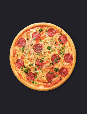 febshell CARROT Seed