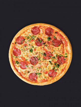 febshell CARROT Seed