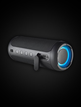 Stereo Speeker (SP-909)